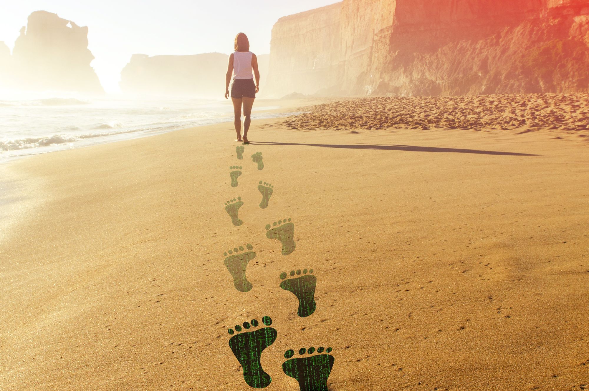 6 Ways To Reduce Your Digital Footprint The Parallax